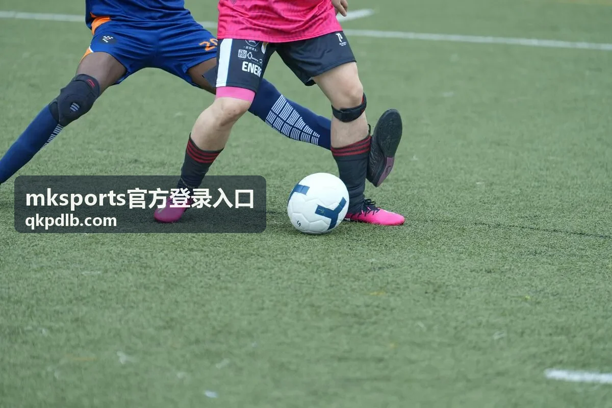 访问异常排查步骤说明配图