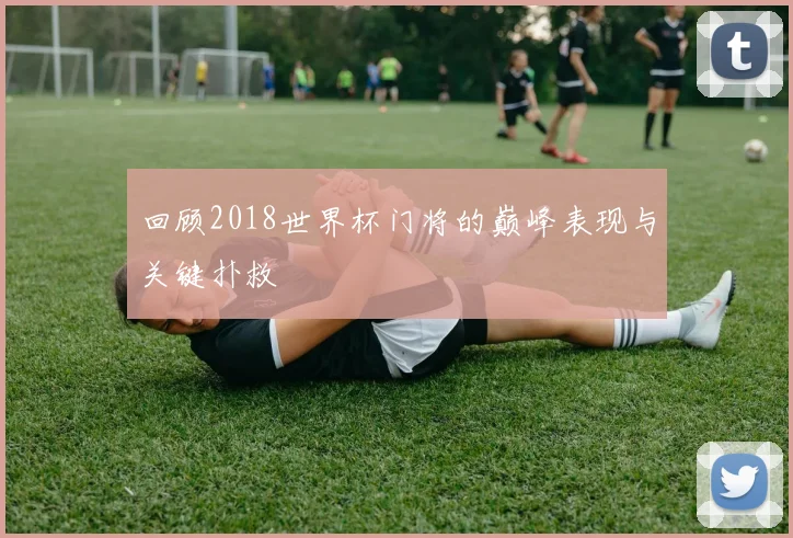 回顾2018世界杯门将的巅峰表现与关键扑救
