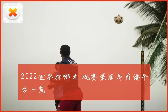 2022世界杯哪看 观赛渠道与直播平台一览