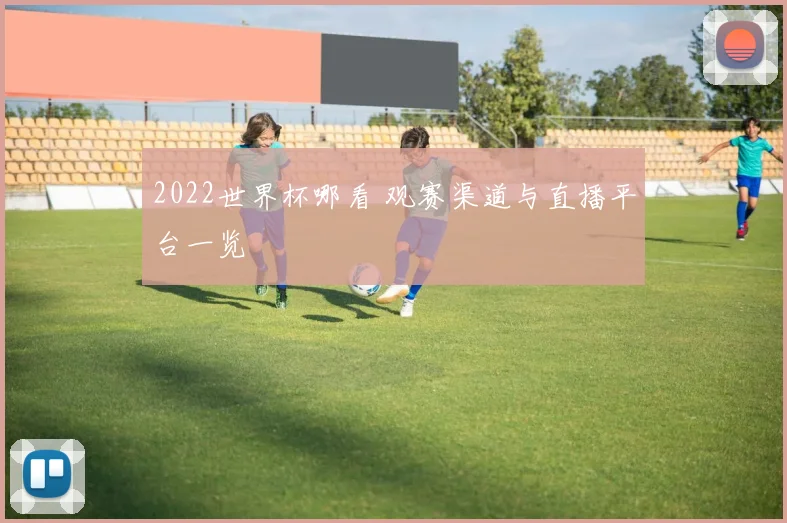 2022世界杯哪看 观赛渠道与直播平台一览
